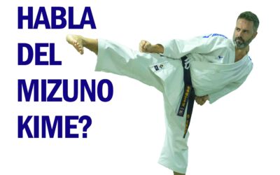Mizuno Kime: el karategi fantasma de una marca gigante