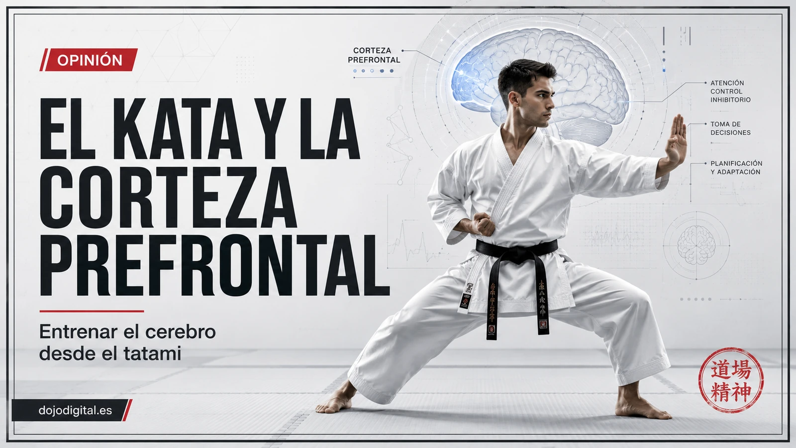 portada_kata_corteza_prefrontal_web